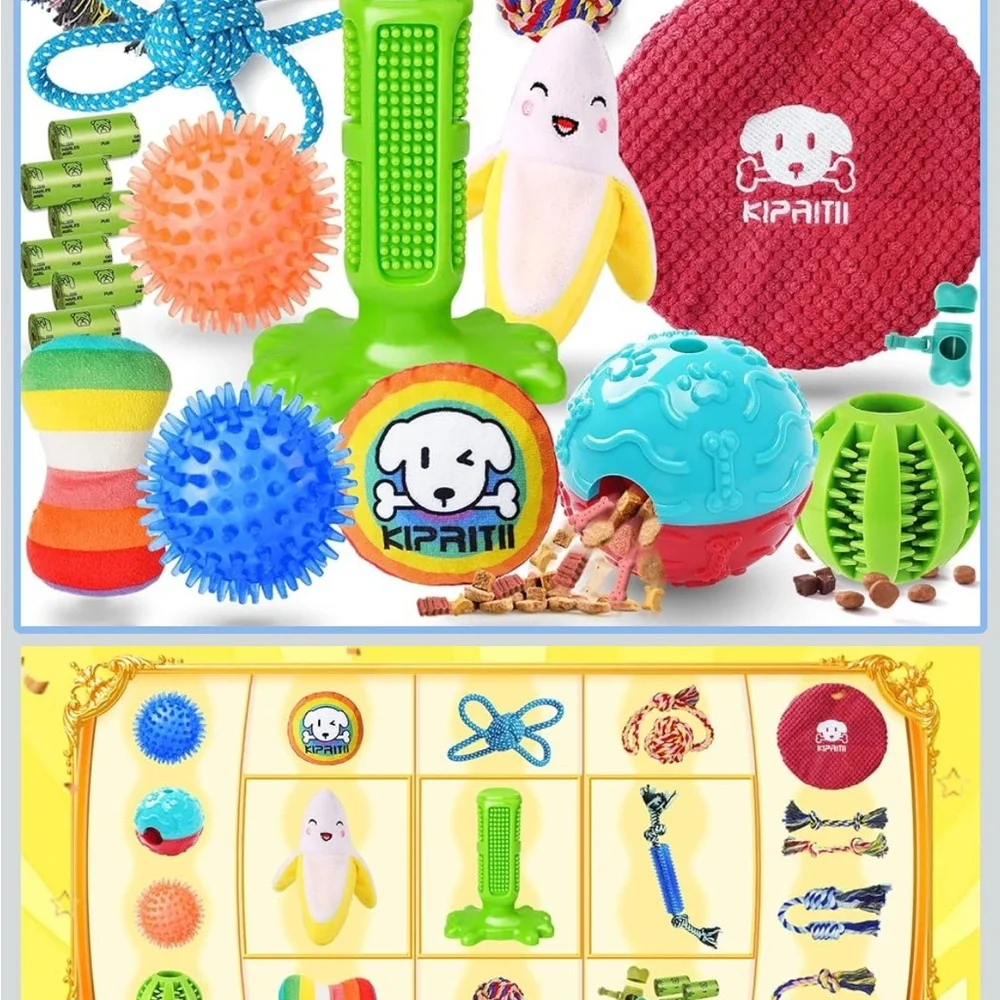 Pet 🪢 Walk & Play Bundle - 6 Pieces